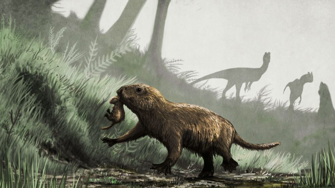 Photo of studiu | Cercetătorii au descoperit dovezi rare care demonstrează că dinozaurii se hrăneau cu mamifere